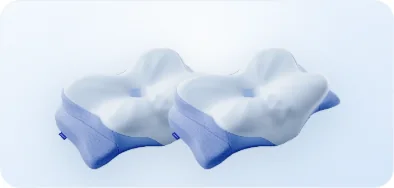 Two Derila Ergo pillows